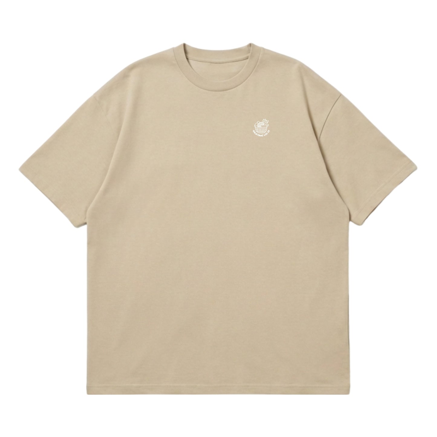 Fruit of the Spirit – Premium Oversized T-Shirt